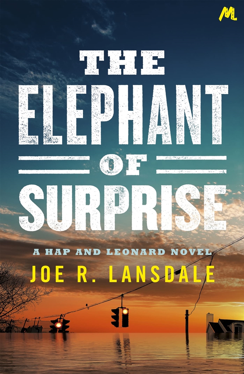 The Elephant Of Surprise/Product Detail/Crime & Mystery Fiction