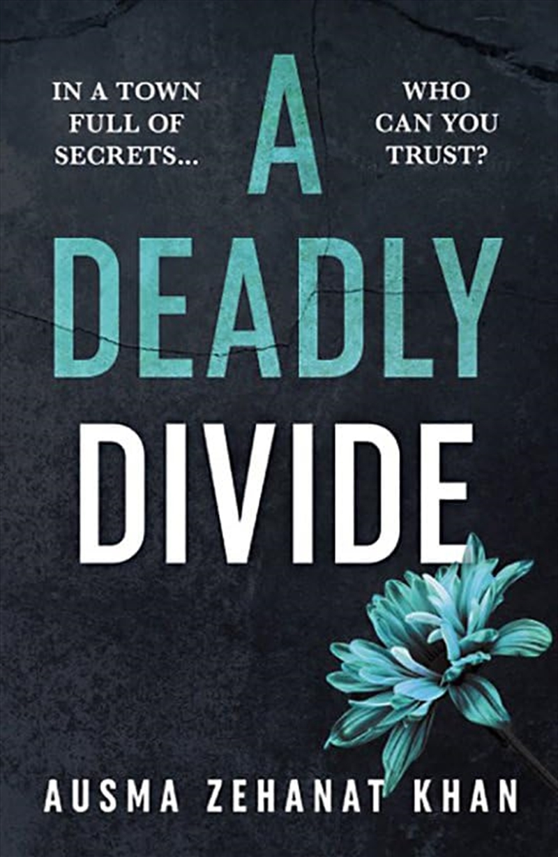 Deadly Divide A/Product Detail/Crime & Mystery Fiction