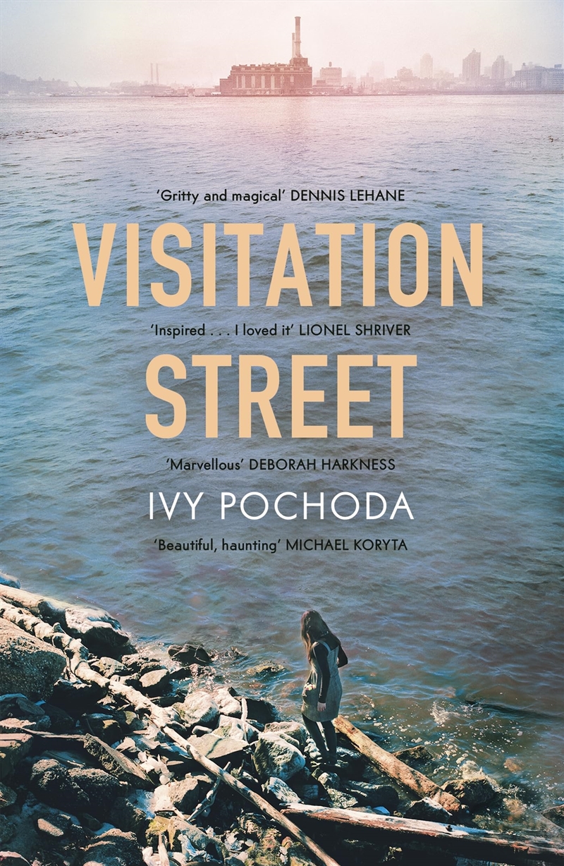 Visitation Street/Product Detail/Crime & Mystery Fiction