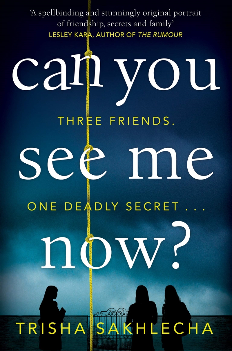 Can You See Me Now/Product Detail/Crime & Mystery Fiction