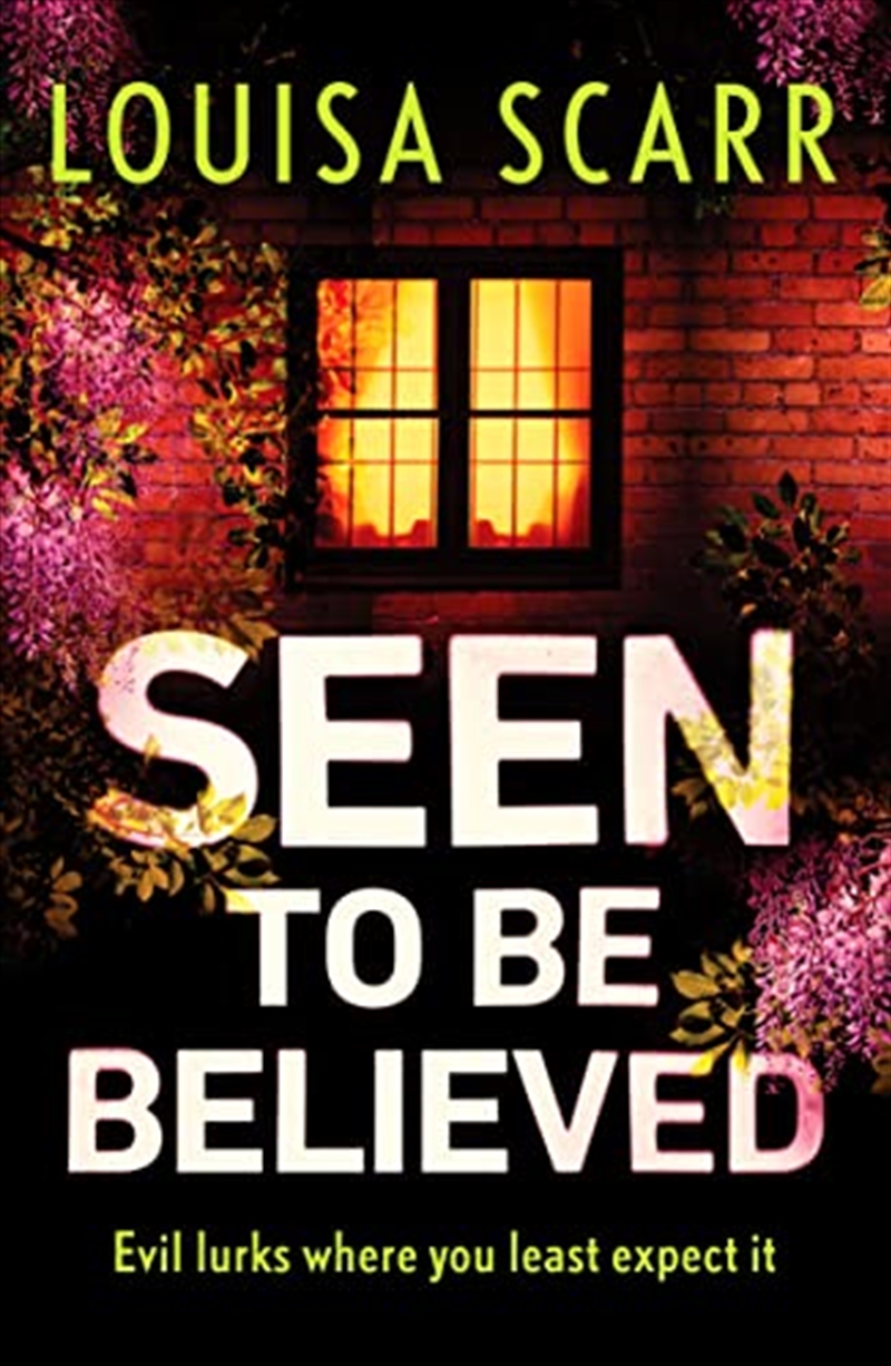 Seen To Be Believed/Product Detail/Crime & Mystery Fiction