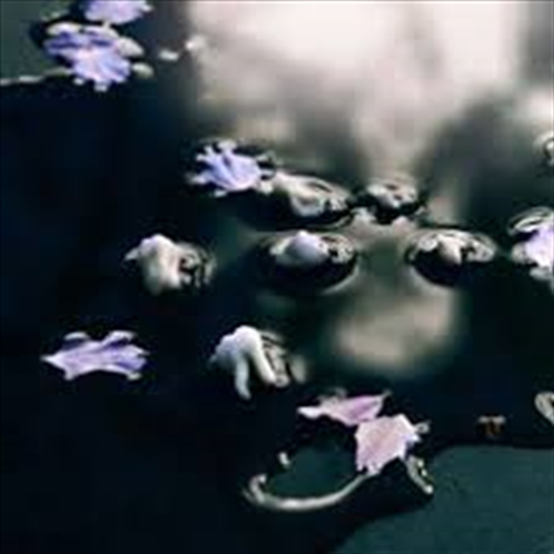 Lambda/Product Detail/Dance