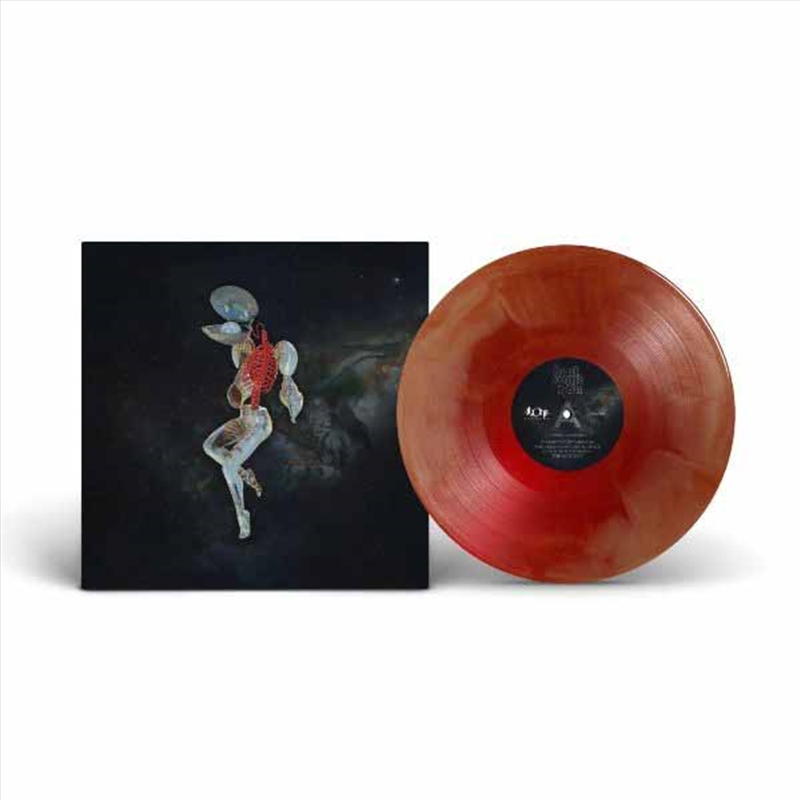 Fossil Garden (Orange/Red Vinyl)/Product Detail/Metal