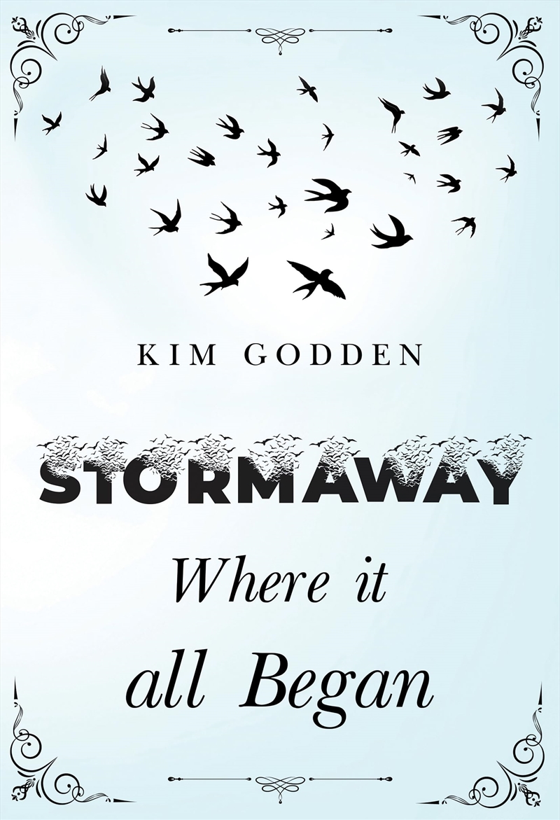 Stormaway Where It All Began/Product Detail/Fantasy Fiction