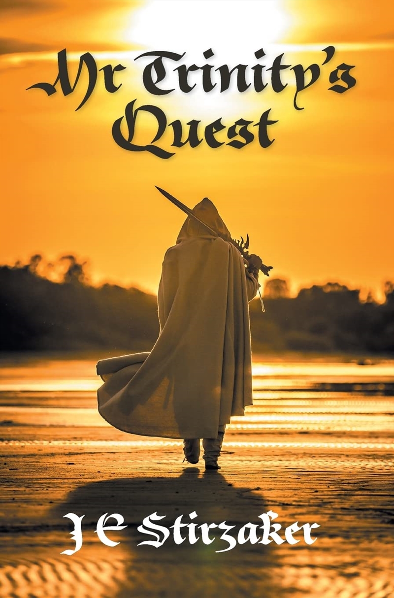 Mr Trinity'S Quest/Product Detail/Fantasy Fiction