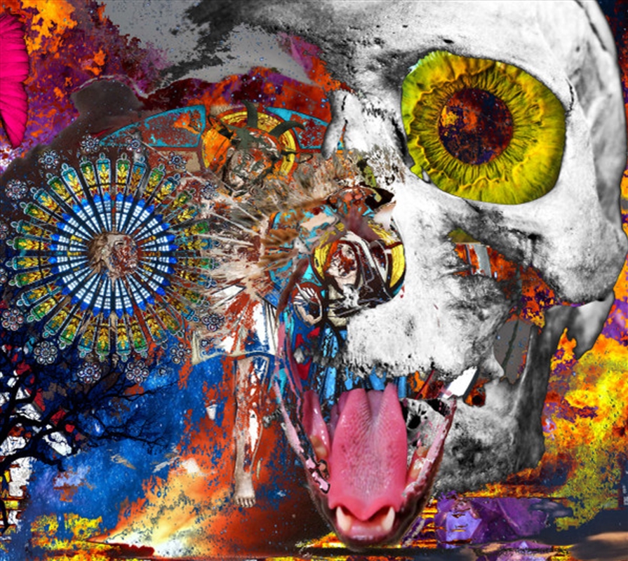 I Feel Like A Bombed Cathedral/Product Detail/Rock/Pop