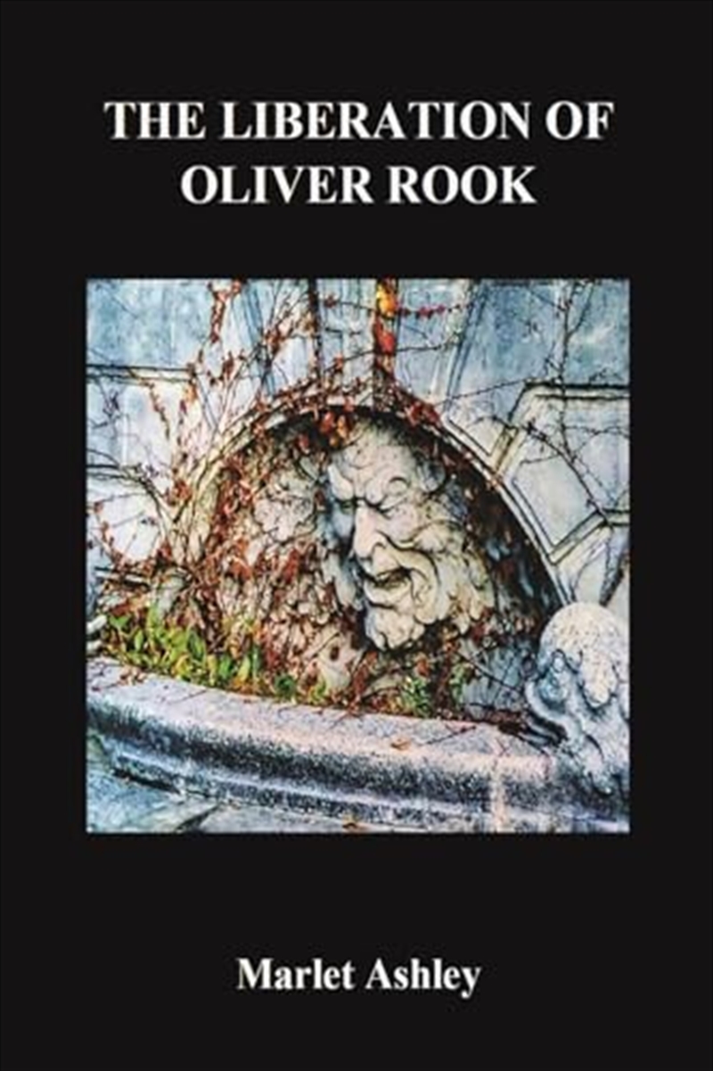 The Liberation Of Oliver Rook/Product Detail/General Fiction Books
