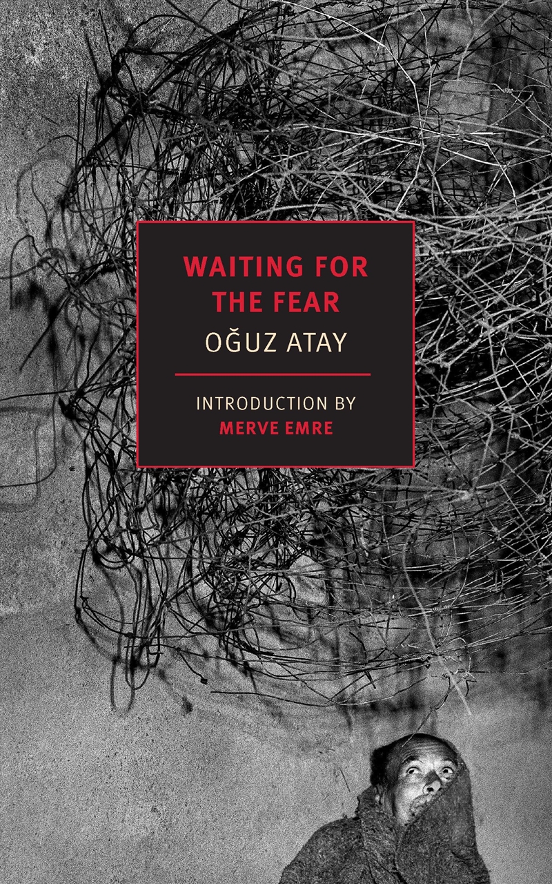 Waiting For The Fear/Product Detail/General Fiction Books