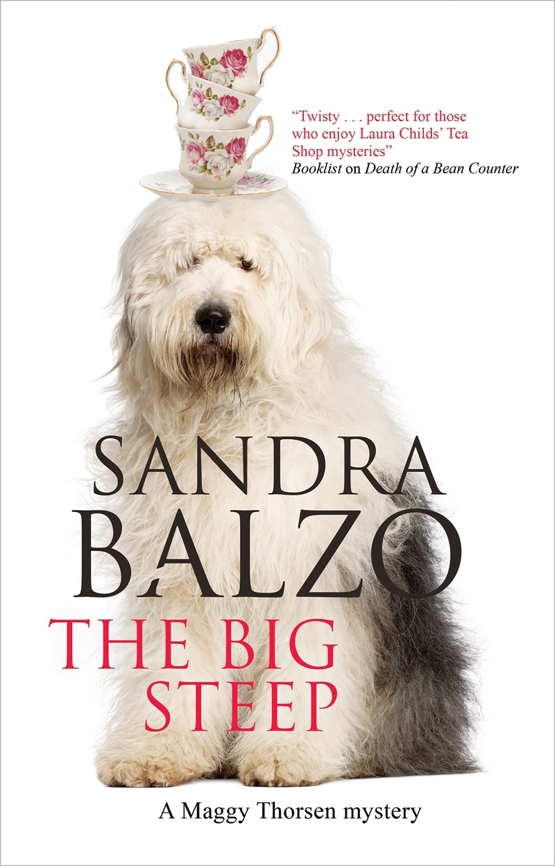 Big Steep, The (A Maggy Thorsen Mystery, 14)/Product Detail/General Fiction Books