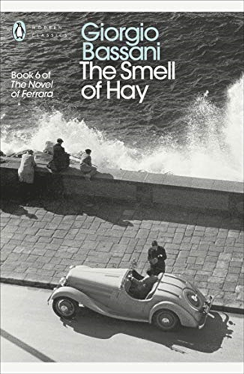 The Modern Classics The Smell Of Hay (Penguin Modern Classics)/Product Detail/General Fiction Books