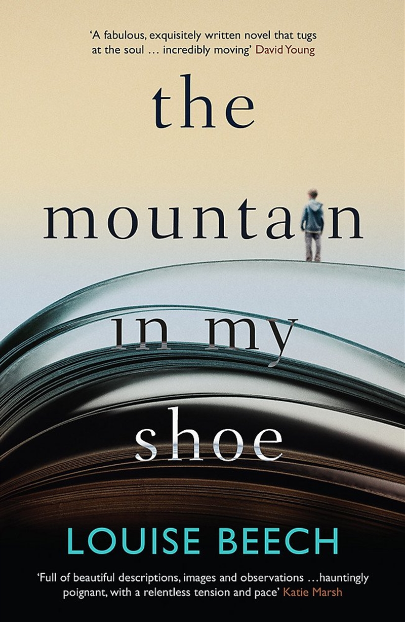 The Mountain In My Shoe/Product Detail/General Fiction Books