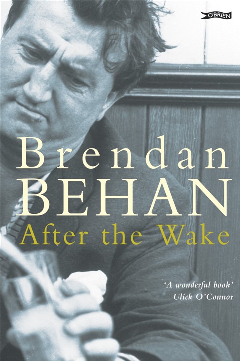 After The Wake (Classics In Irish Fiction)/Product Detail/General Fiction Books