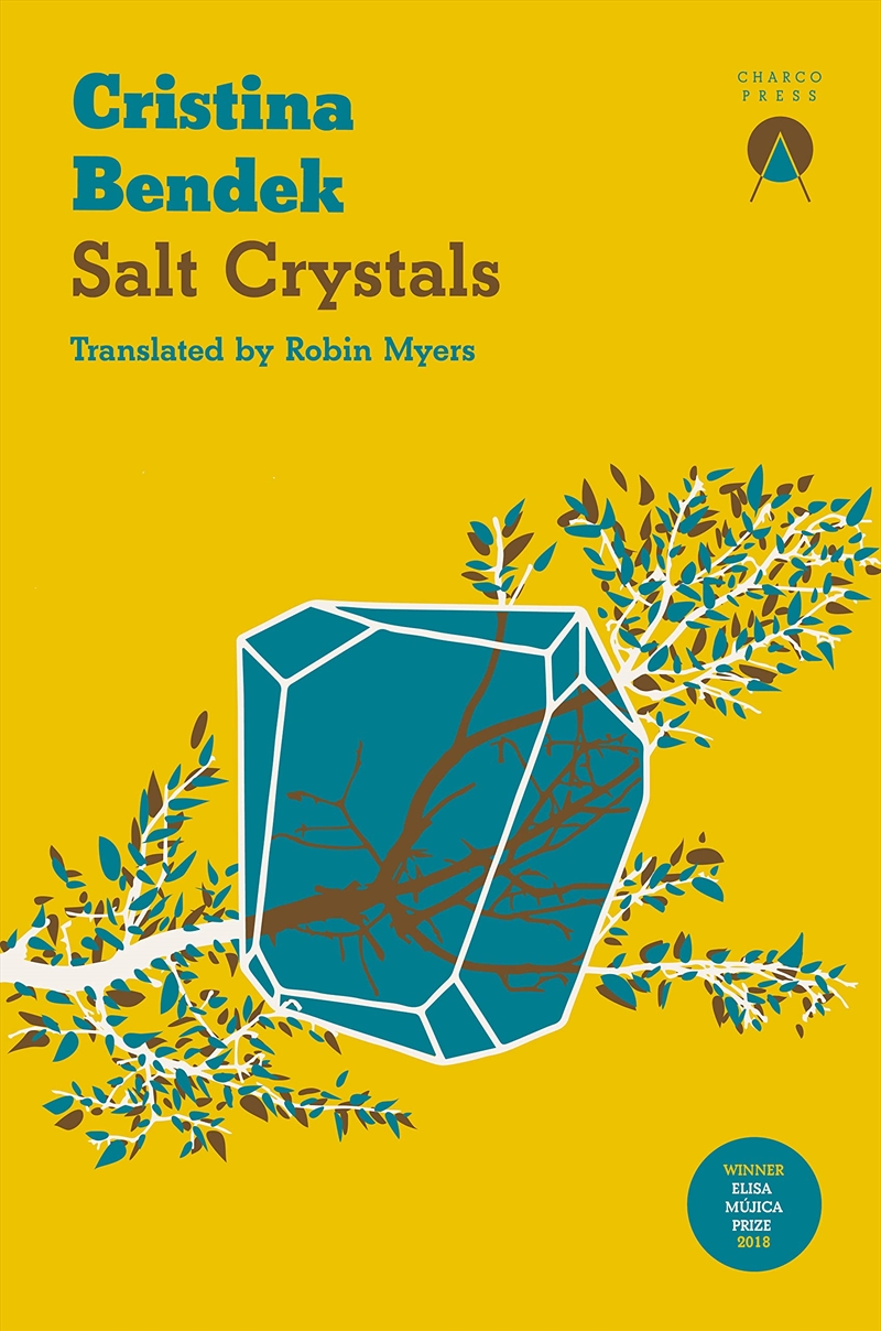 Salt Crystals/Product Detail/General Fiction Books