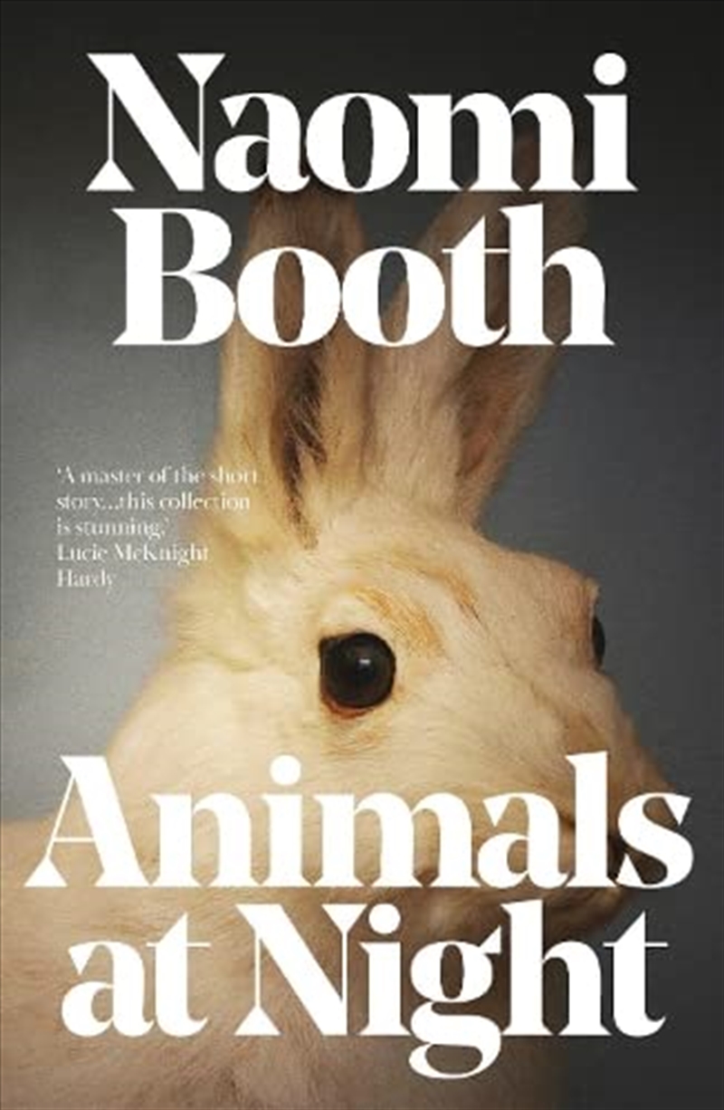 Animals At Night/Product Detail/General Fiction Books