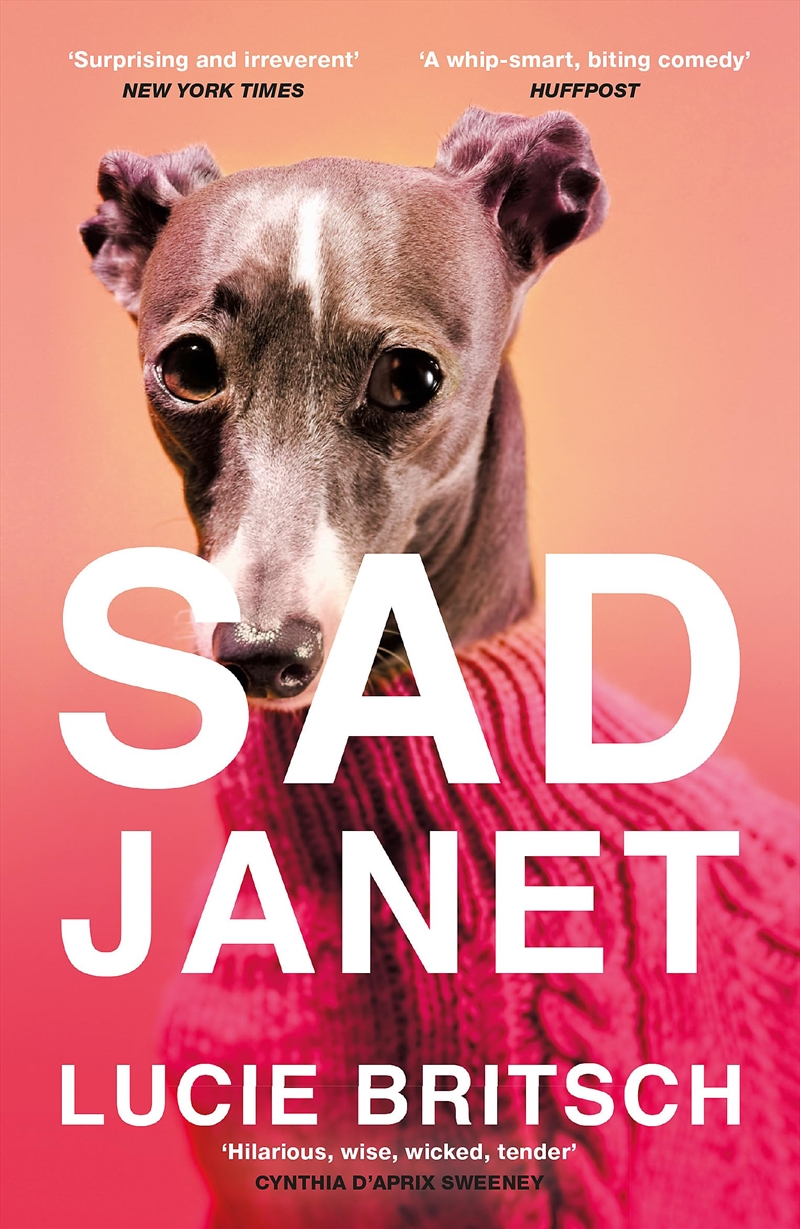 Sad Janet: A Whip-Smart, Hilarious Satire Of Our Obsession With Happiness/Product Detail/General Fiction Books