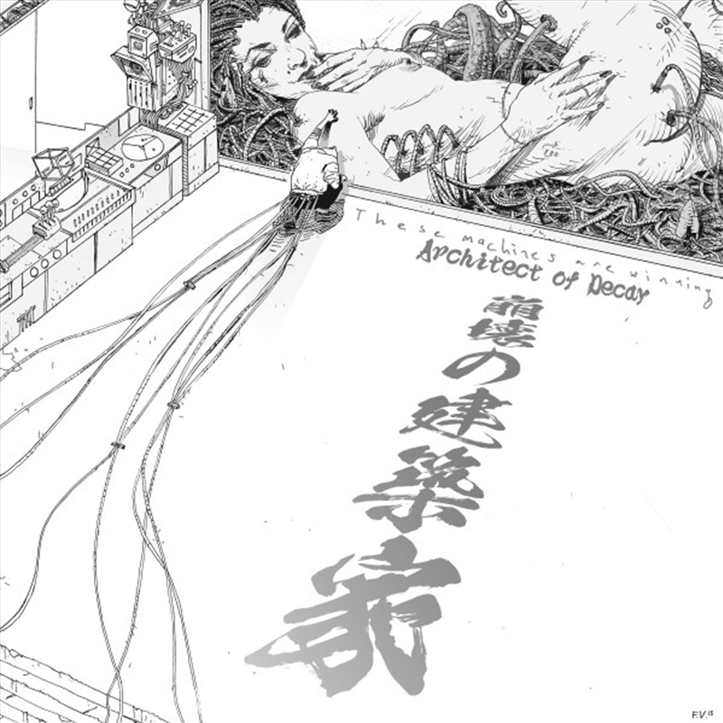 Architect Of Decay/Product Detail/Punk