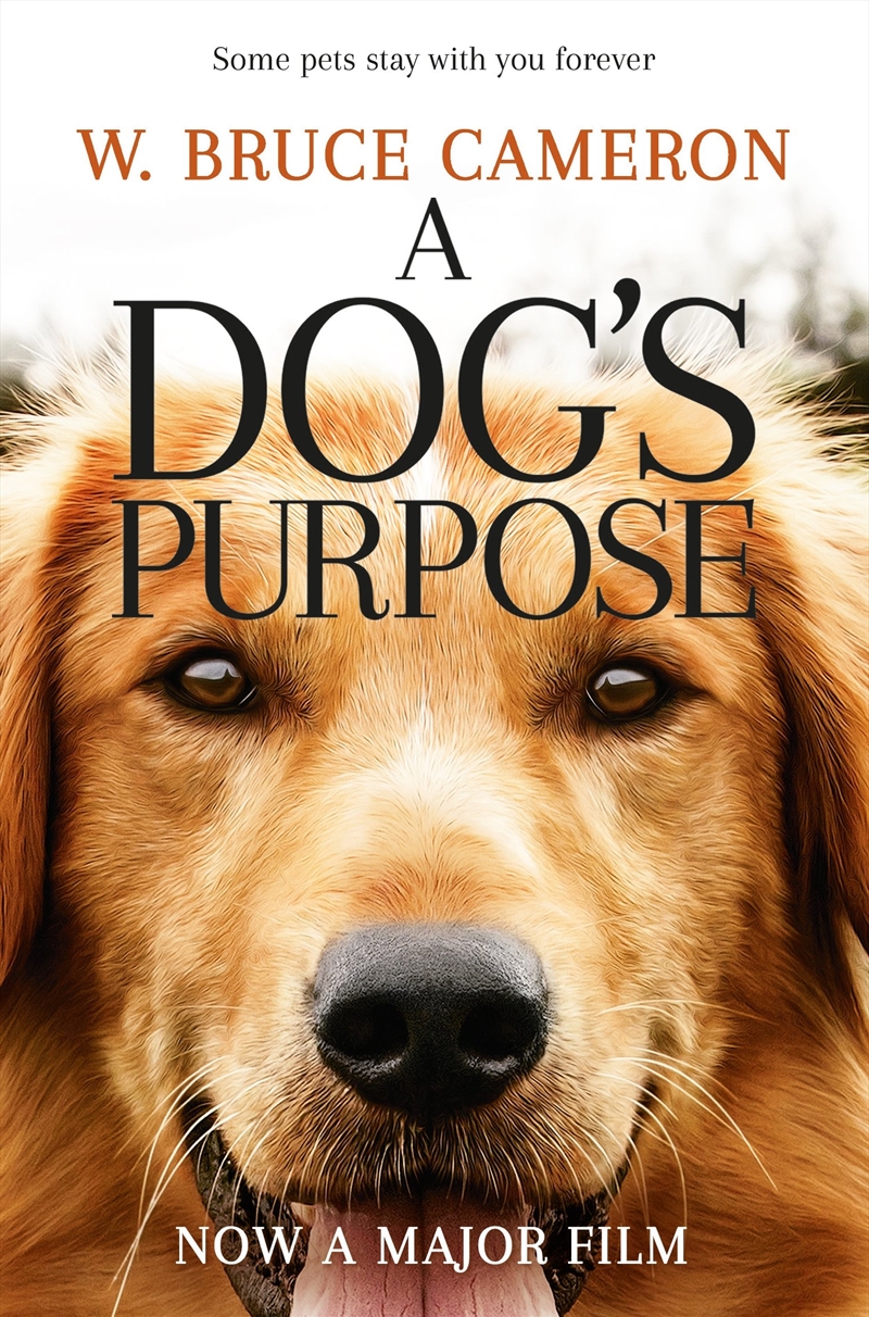 A Dog'S Purpose/Product Detail/General Fiction Books
