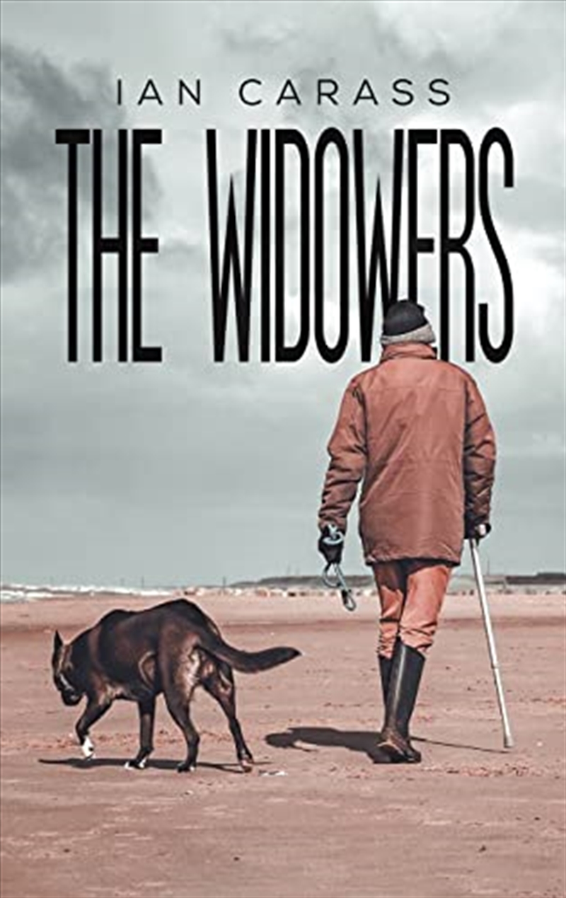 The Widowers/Product Detail/General Fiction Books