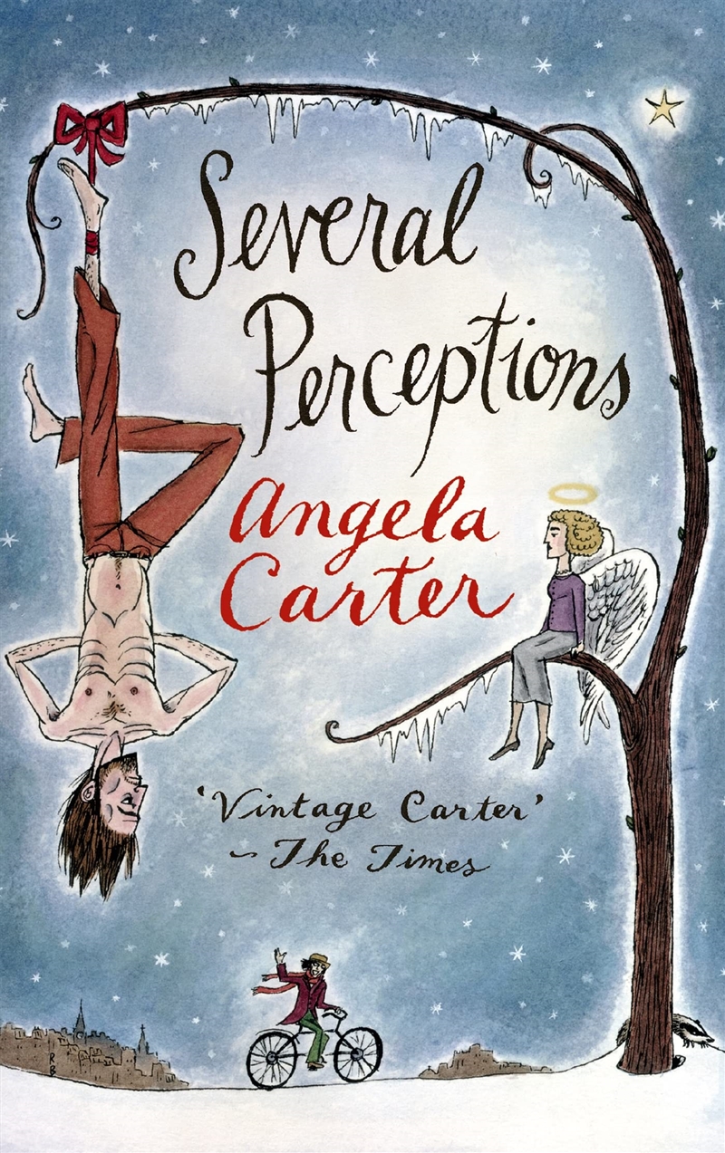 Several Perceptions/Product Detail/General Fiction Books