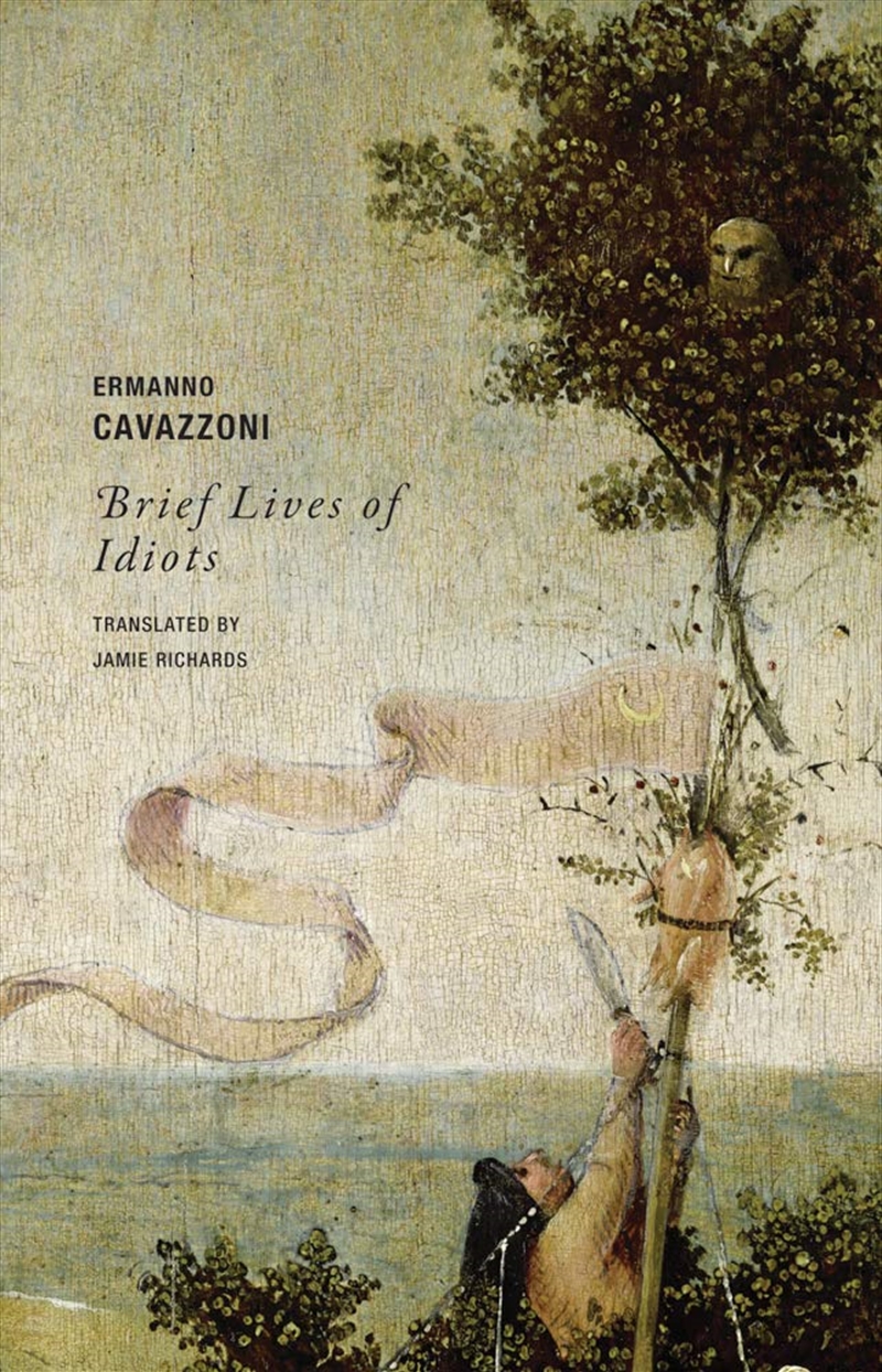Brief Lives Of Idiots/Product Detail/General Fiction Books