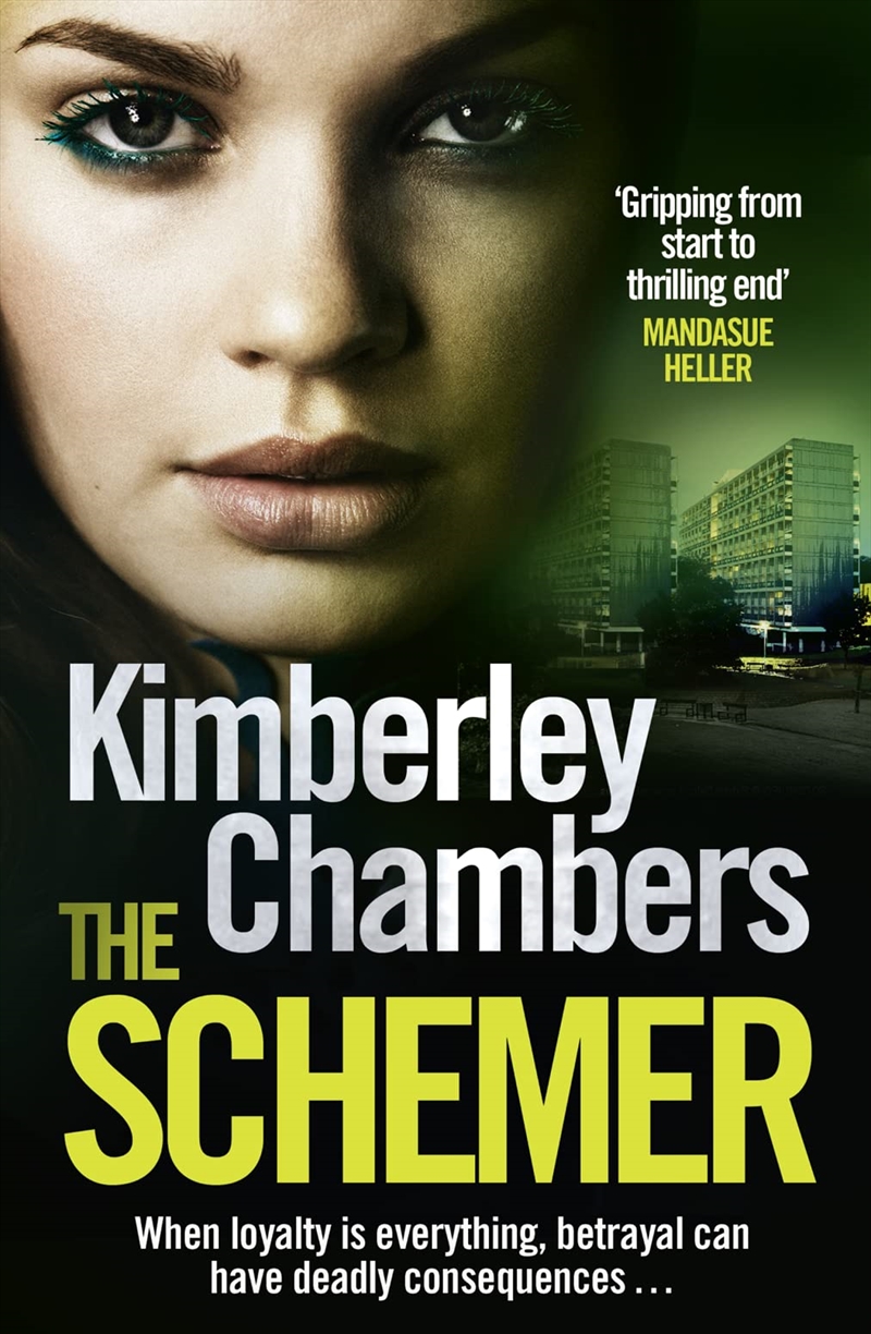 The Schemer/Product Detail/General Fiction Books