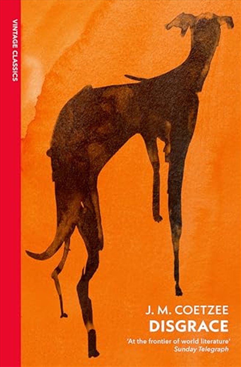Disgrace: A Bbc Radio 4 Good Read/Product Detail/General Fiction Books