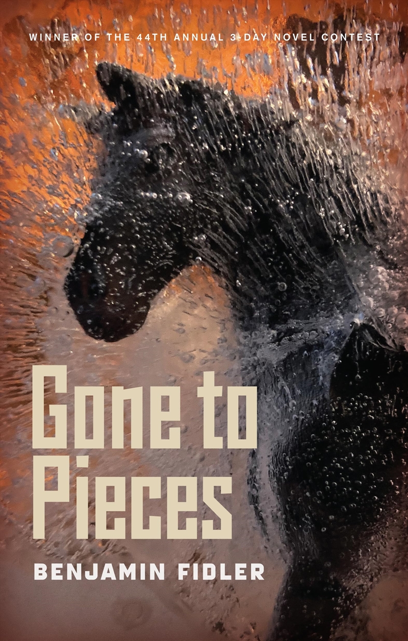 Gone To Pieces/Product Detail/General Fiction Books