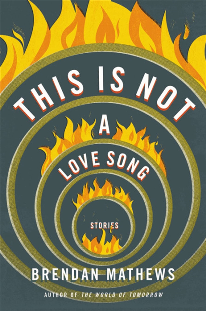 This Is Not A Love Song/Product Detail/General Fiction Books
