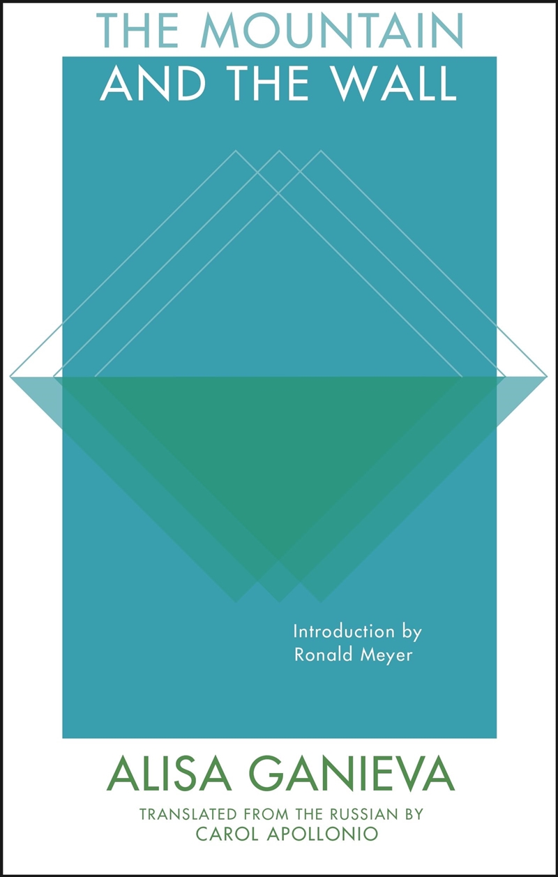 Mountain And The Wall/Product Detail/General Fiction Books