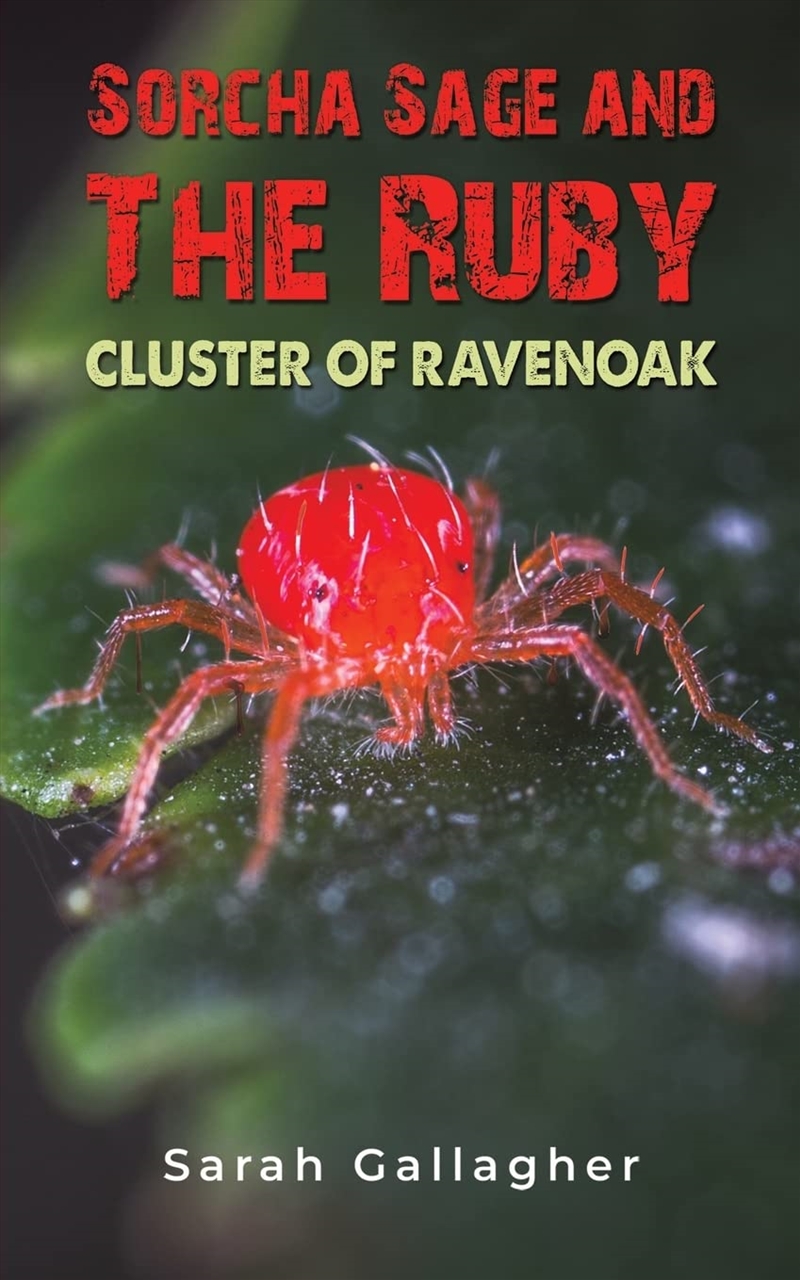 Sorcha Sage And The Ruby Cluster Of Ravenoak/Product Detail/General Fiction Books