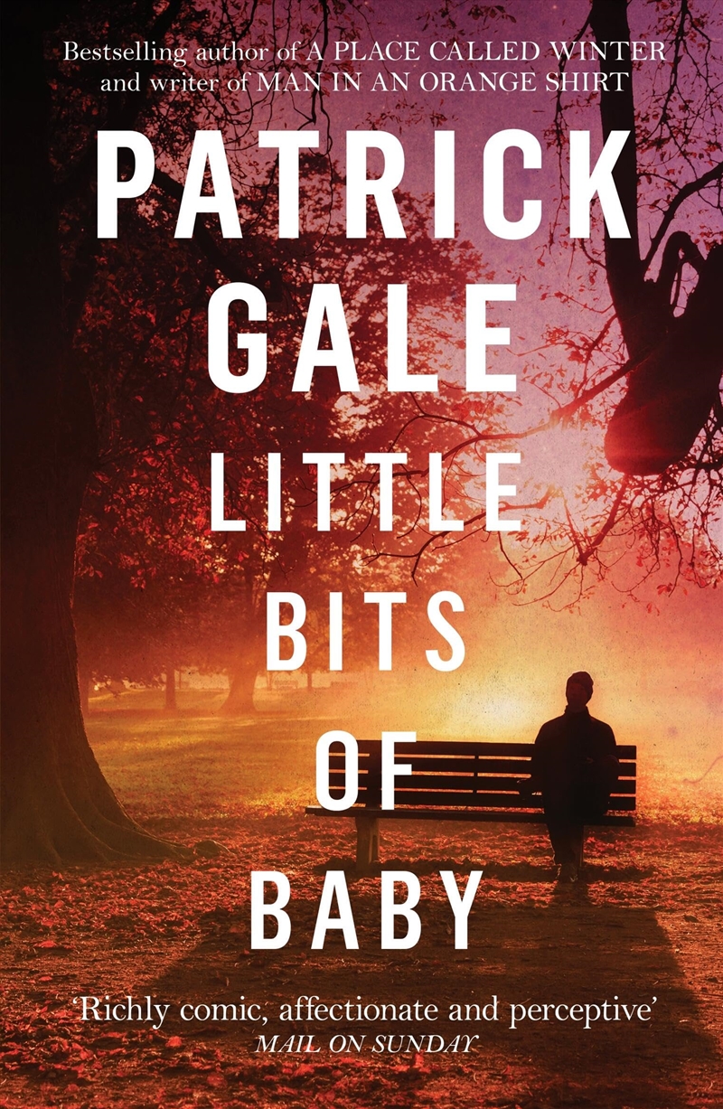 Little Bits Of Baby/Product Detail/General Fiction Books
