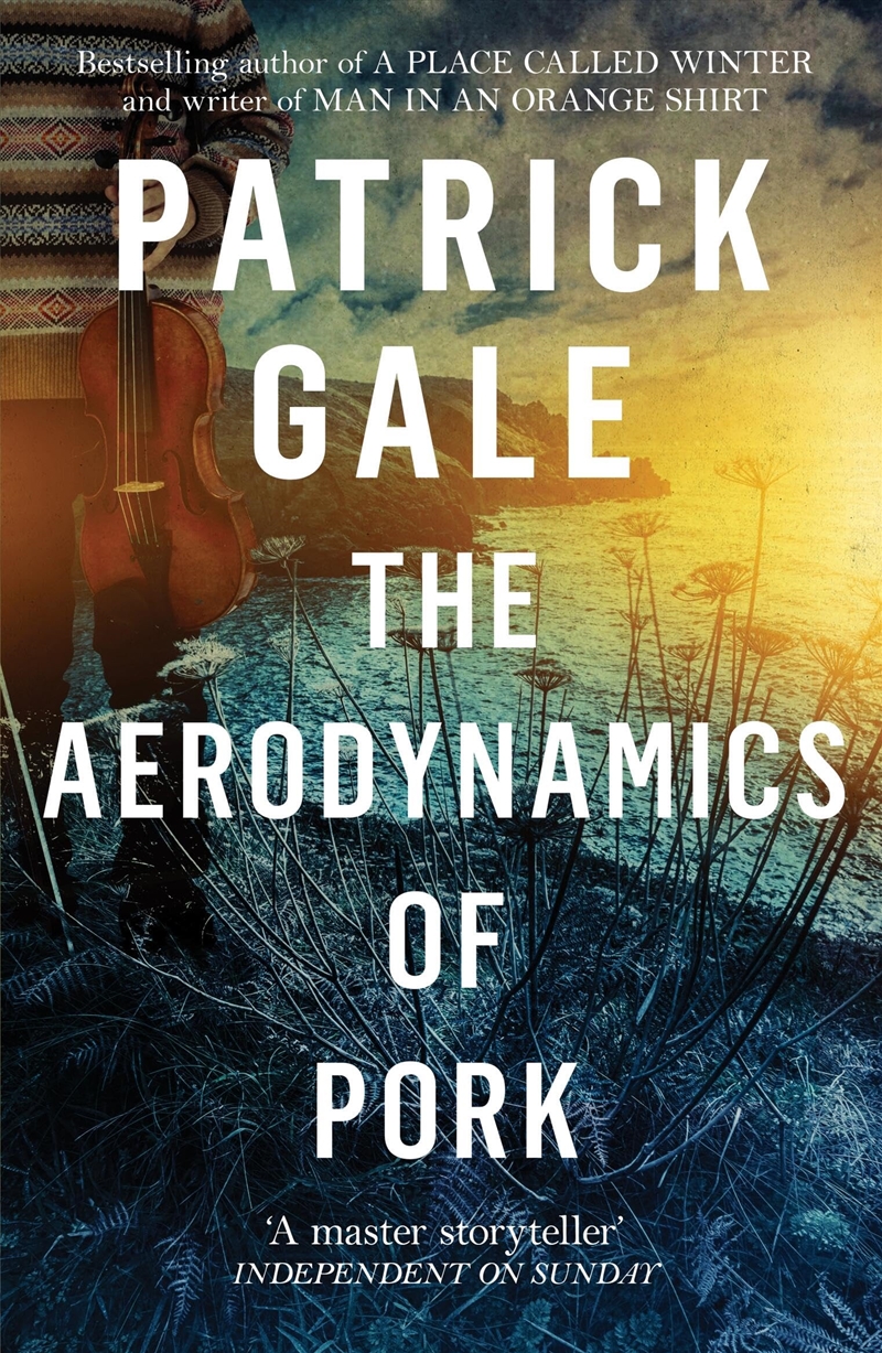 Aerodynamics Of Pork/Product Detail/General Fiction Books