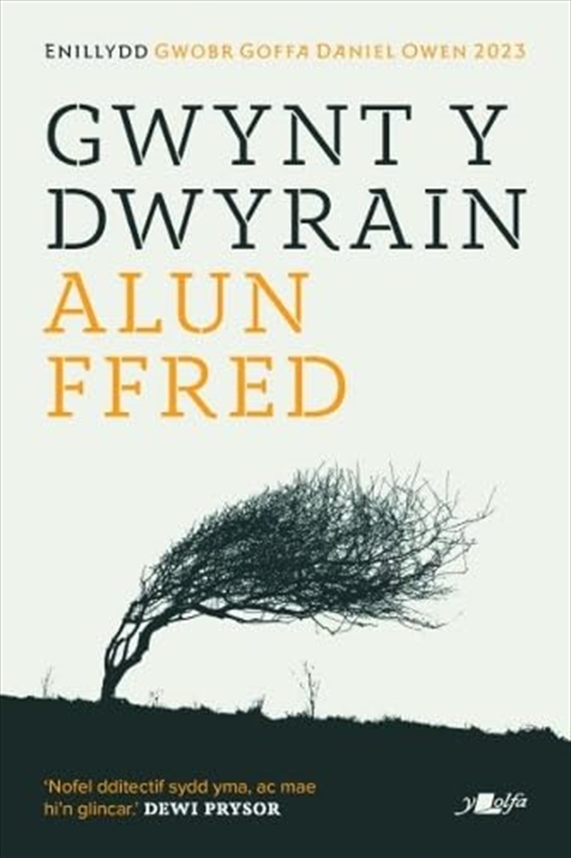 Gwynt Y Dwyrain/Product Detail/General Fiction Books