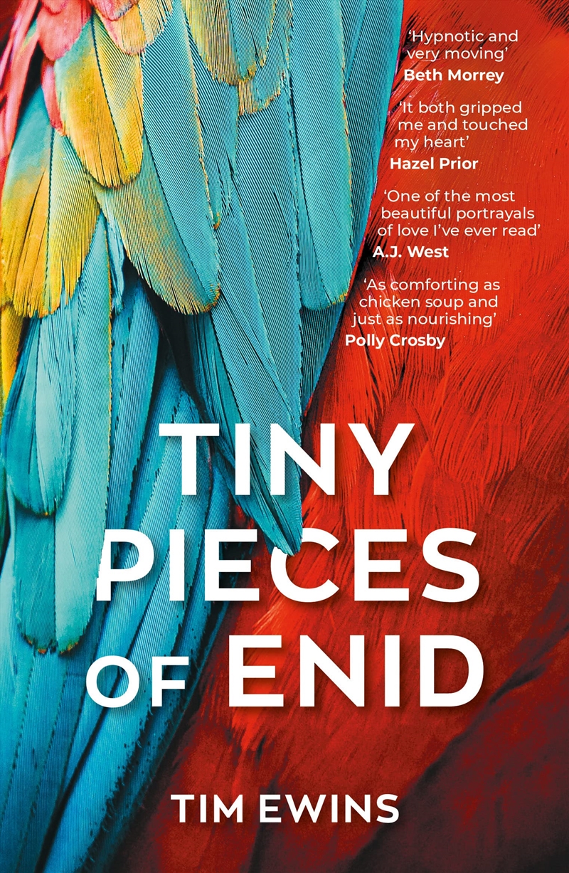 Tiny Pieces Of Enid/Product Detail/General Fiction Books