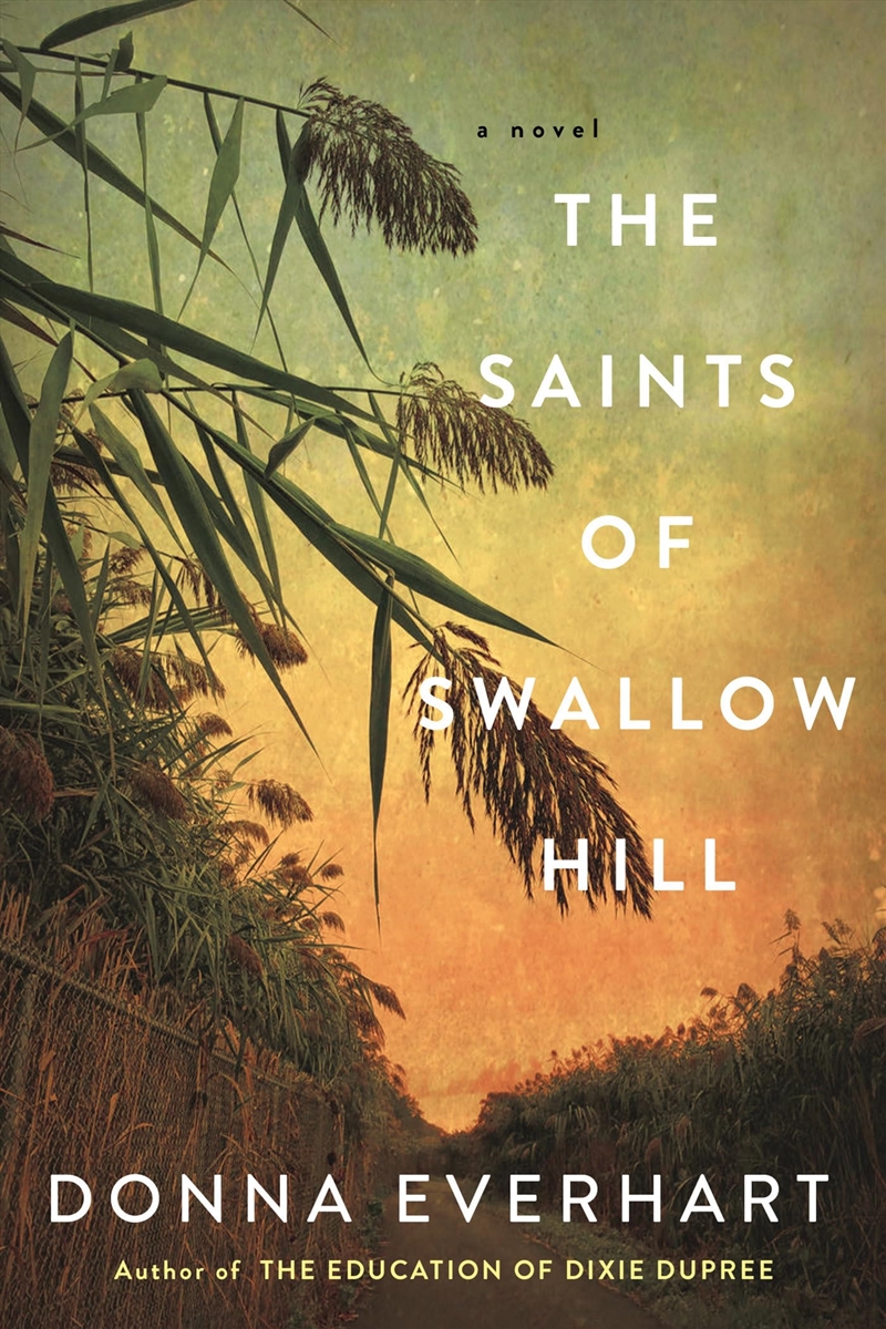 Saints Of Swallow Hill/Product Detail/General Fiction Books