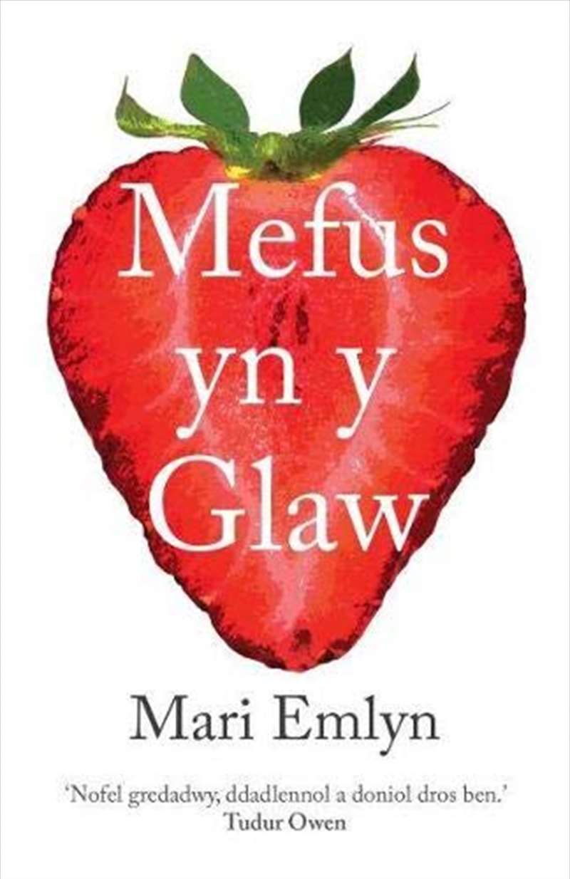 Mefus Yn Y Glaw/Product Detail/General Fiction Books