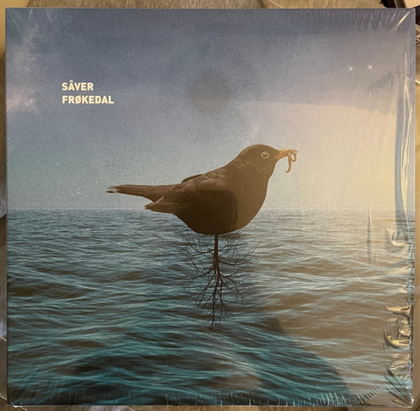 Split Ep/Product Detail/Rock/Pop