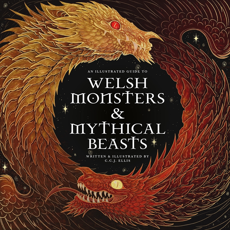 Welsh Monsters Mythical Beasts/Product Detail/General Fiction Books