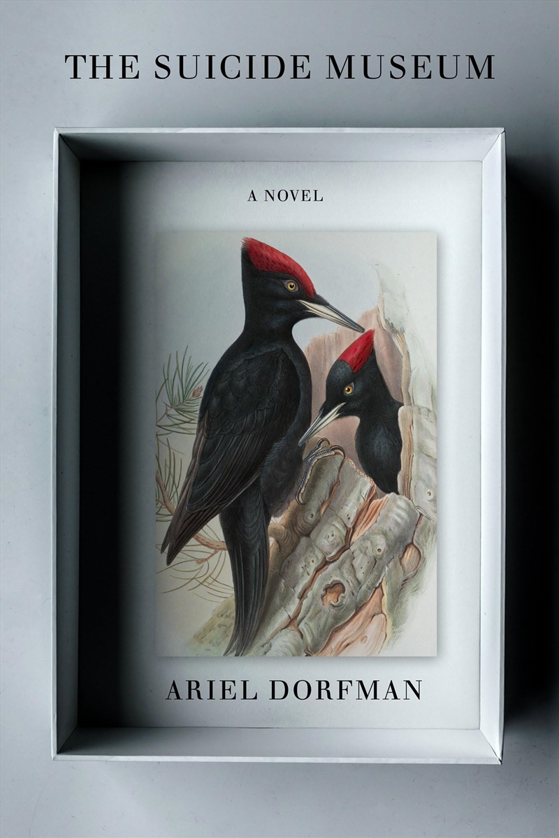 Suicide Museum A Novel/Product Detail/General Fiction Books