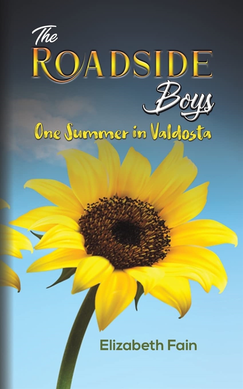 Roadside Boys/Product Detail/General Fiction Books