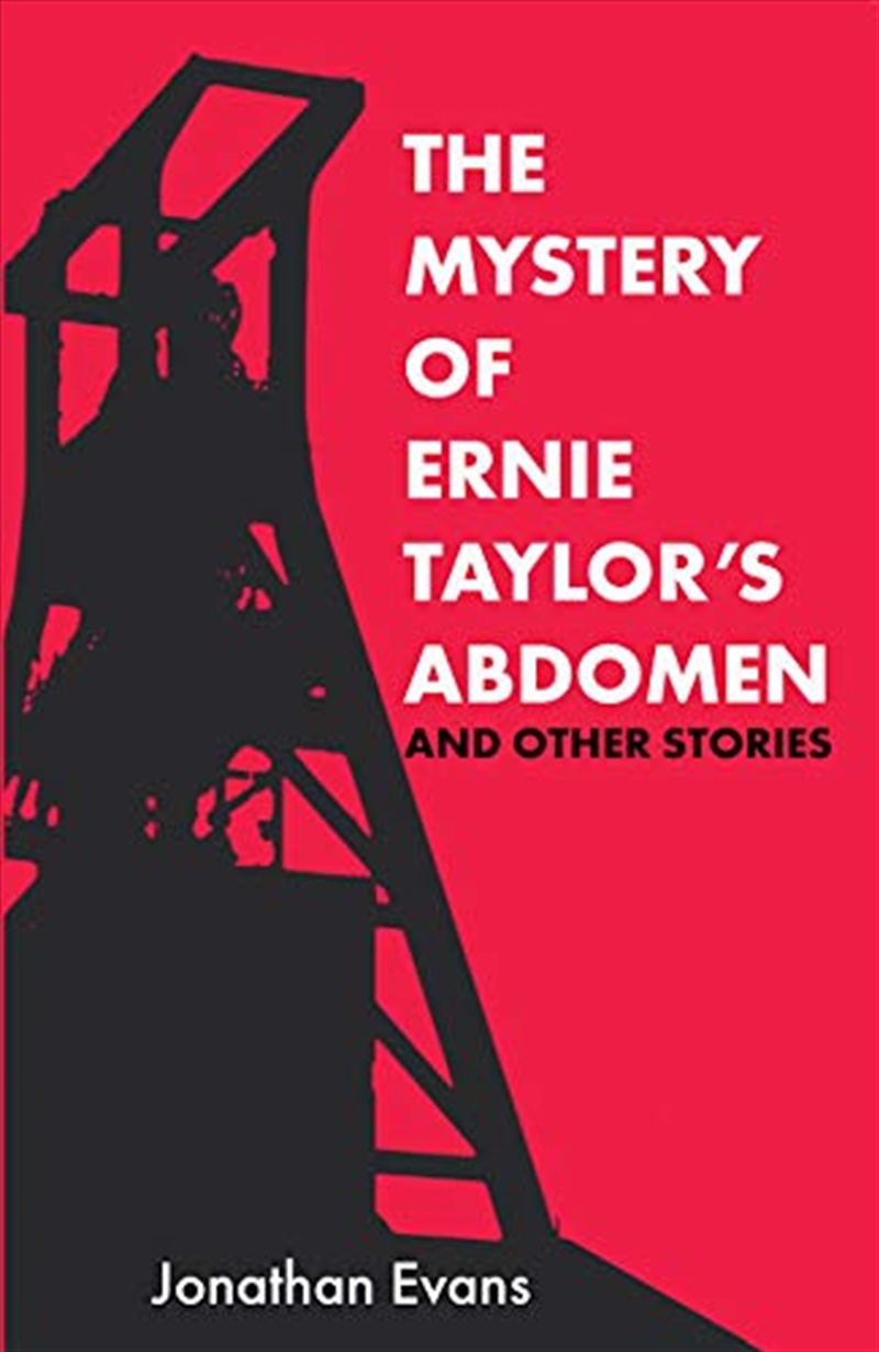 Mystery Of Ernie Taylors Abdomen & Other/Product Detail/General Fiction Books