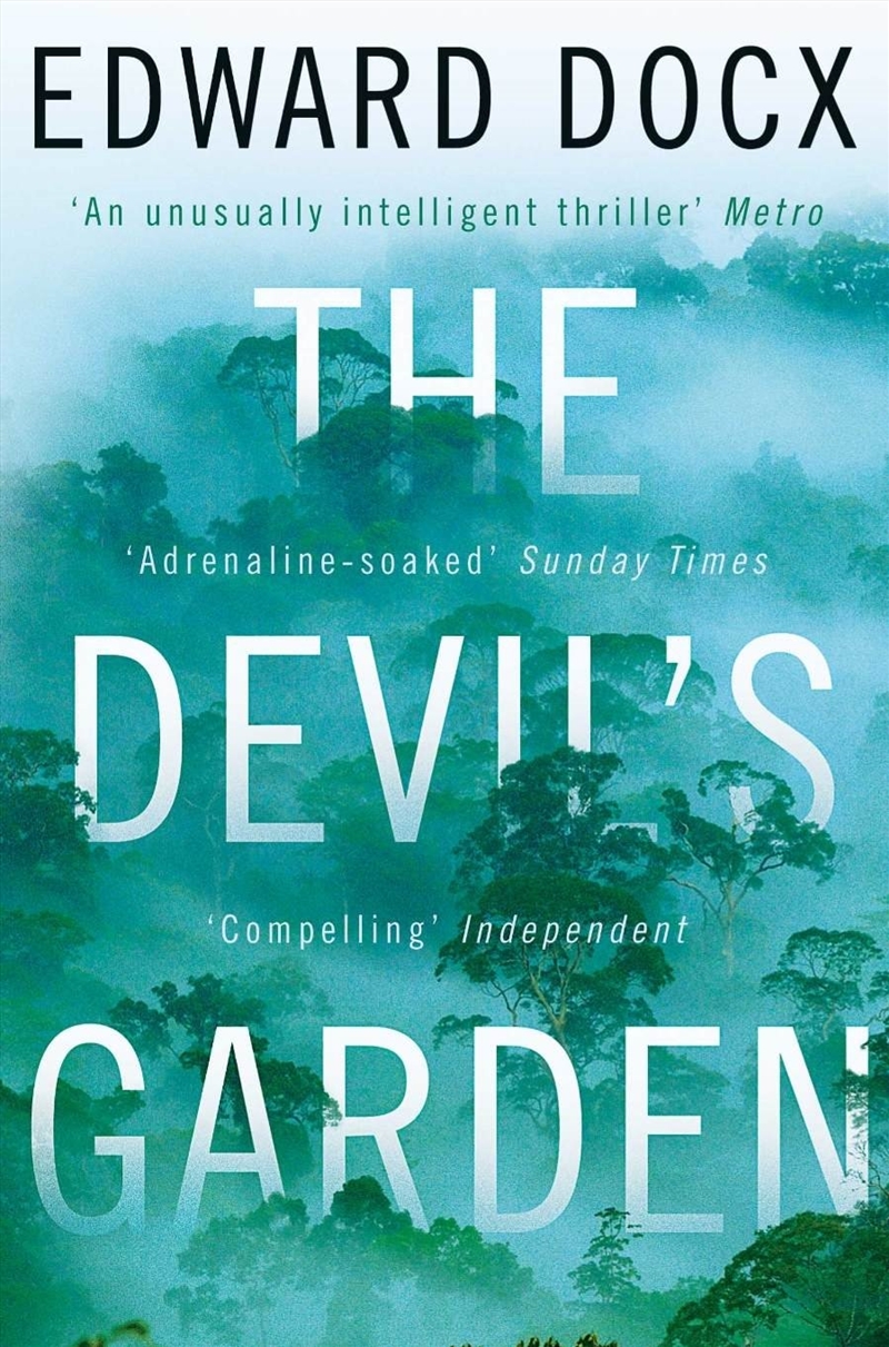 The Devil/Product Detail/General Fiction Books
