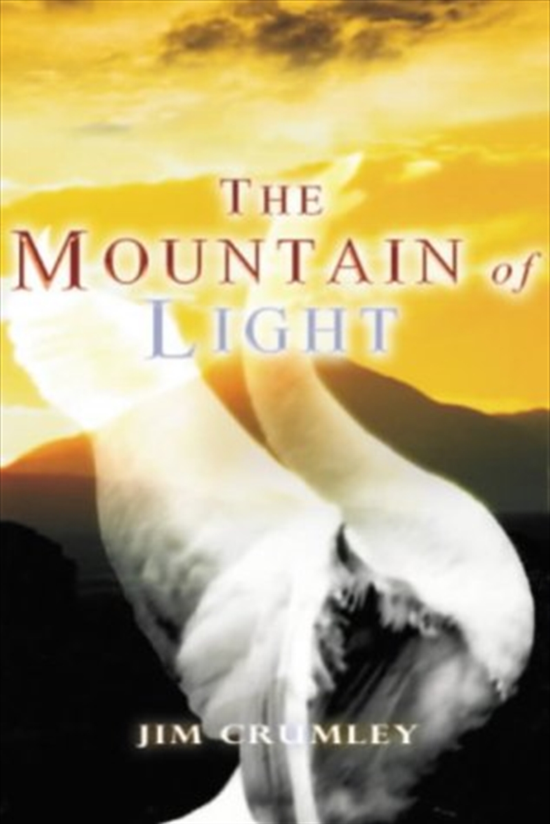 Mountain Of Light/Product Detail/General Fiction Books