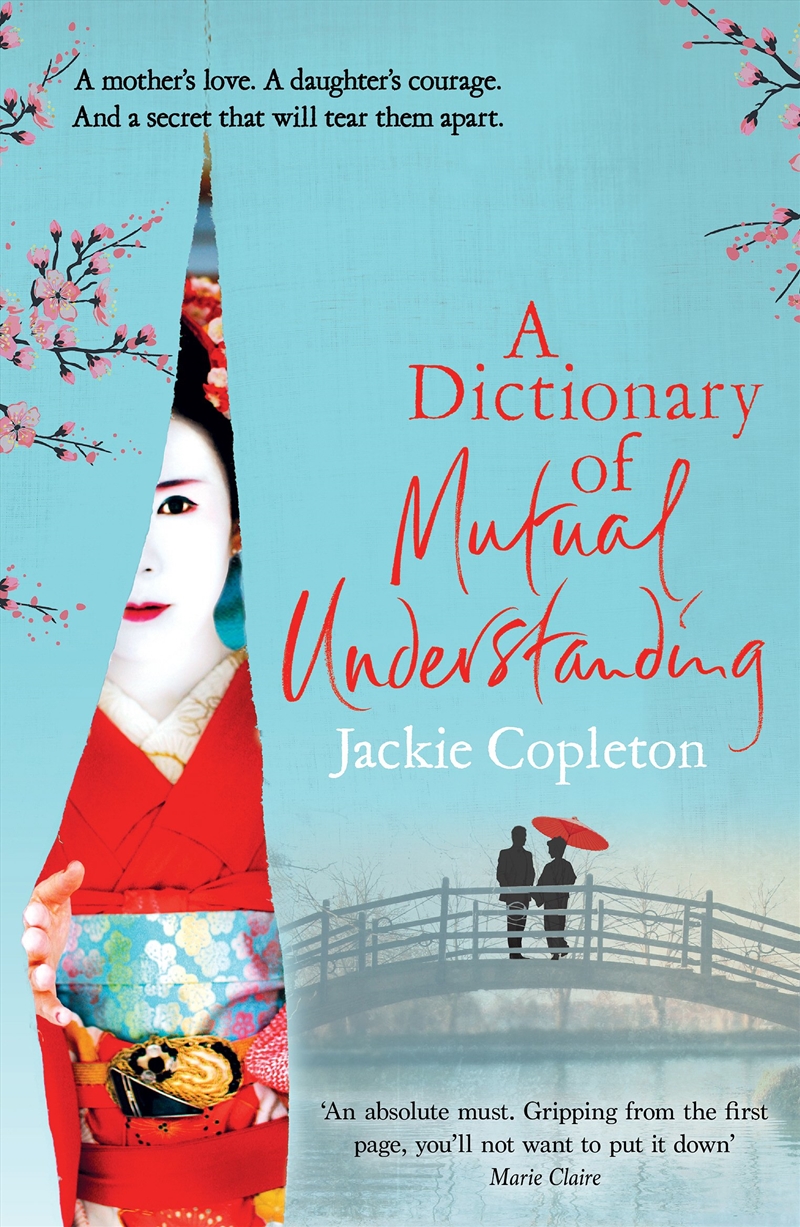 Dictionary Of Mutual Understanding/Product Detail/General Fiction Books