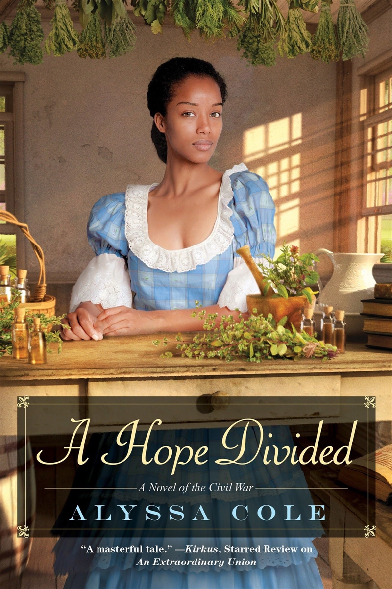 Hope Divided/Product Detail/General Fiction Books