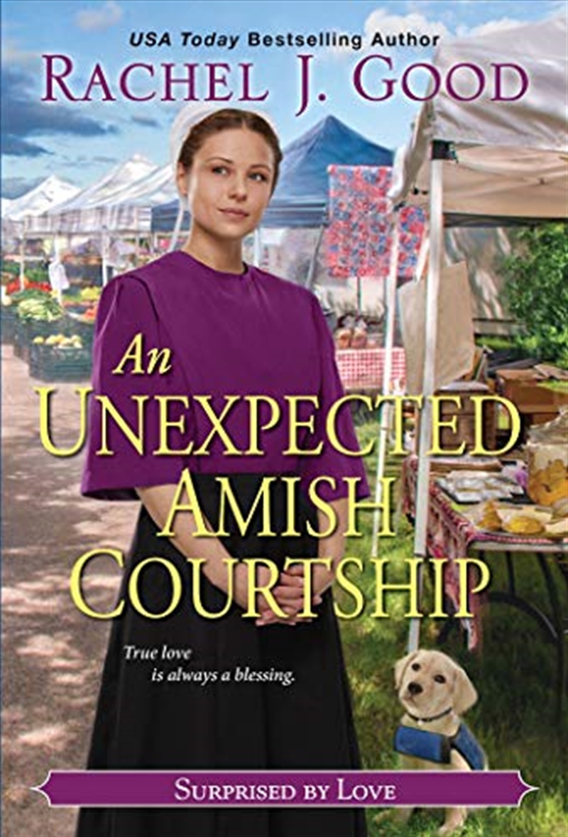 Unexpected Amish Courtship/Product Detail/General Fiction Books