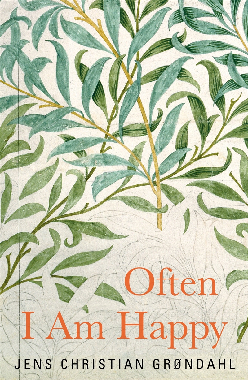 Often I Am Happy/Product Detail/General Fiction Books