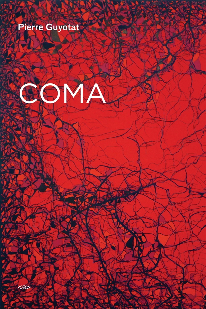 Coma/Product Detail/General Fiction Books