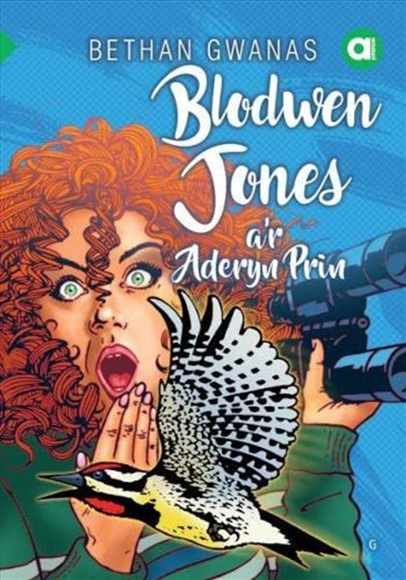 Cyfres Amdani Blodwen Jones Ar Aderyn Pr/Product Detail/General Fiction Books