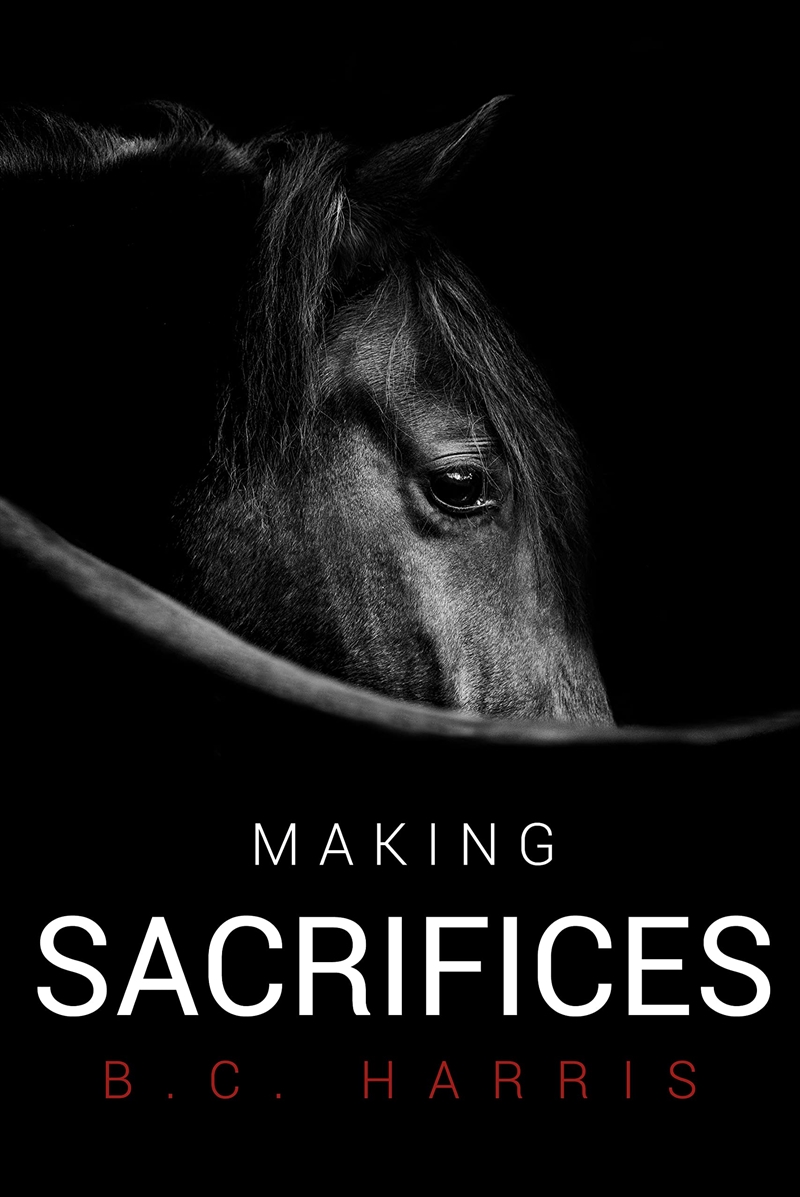 Making Sacrifices/Product Detail/General Fiction Books